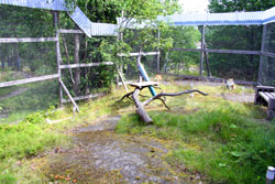 Kattgården