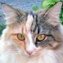Fia