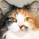Kajsa