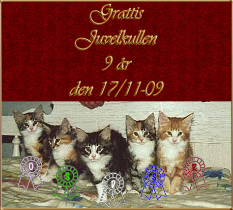 Grattis Juvelkullen
