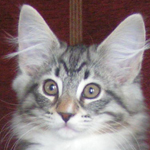 Astrid 12 veckor