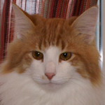 Oskar 1 år